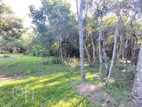 Image 45 - 239663